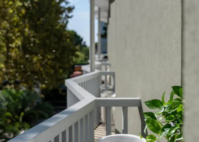 Pineda Бибионе